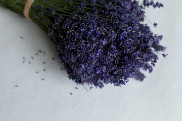 Obraz na płótnie Canvas lavender bouquets on white background. lavender flowers. lavender. summer. lavender close-up