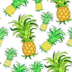 seamless pattern  exotic tropical pineapple fruit.  illustration
