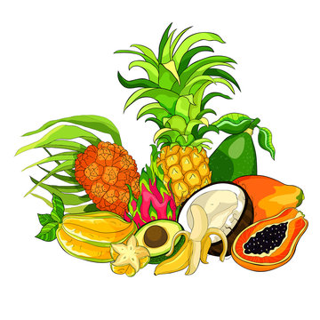 exotic fruits pandan banana avocado coconut papaya pineapple, Pitahaya, star carambola.  illustration