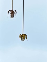 vintage lamp hanging from the ceiling