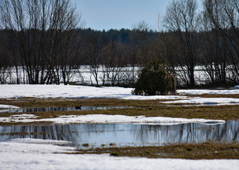 Scraps for hunting in spring for ducks. Lake and stuffed ducks