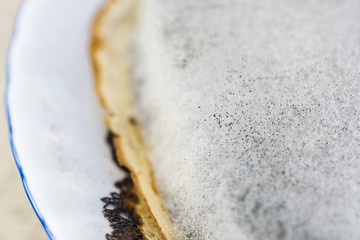 Blue mold. Mold on surface food. The big increase. Visible strands of microscopic fungi