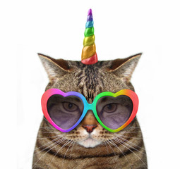 The cat unicorn is wearing cute glasses. White background. © iridi66