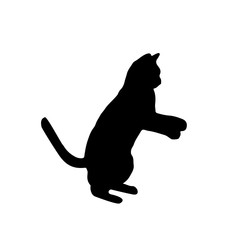 Black silhouette of a cat. Silhouette of playing cat. Cat outline vector icon
