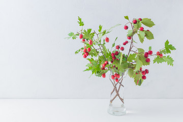 Branches with red berries in a vase on a light background