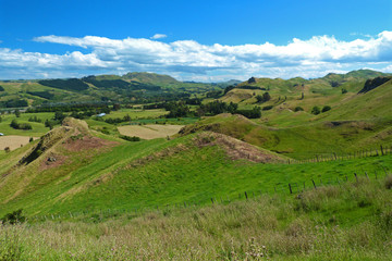 North Island treeless landscape, New Zealand