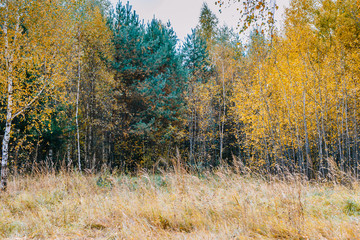 Obrazy na Szkle  Kolorowy jesienny krajobraz
