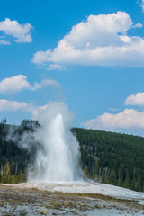 Old Faithful