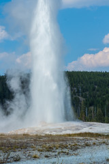 Old Faithful