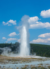 Old Faithful