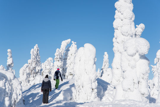 Two women walks in the snowy forest in Koli National Park in Finland