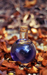 Potion in a bottle - 220135259