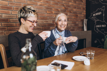 Senior mother sitting in cafe bar or restaurant with her middle age daughter and enjoying in conversation.