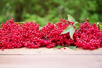 Red bunches of red elderberry (Sambucus) on a wooden surface. Preparation of medicinal natural means
