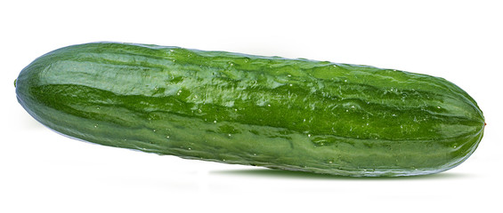 Fresh cucumber isolated on white background with clipping path
