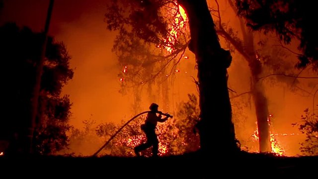 2018 - A firefighter stands in silhouette and fights a huge hillside blaze during the Holiday Fire in Goleta, California.
