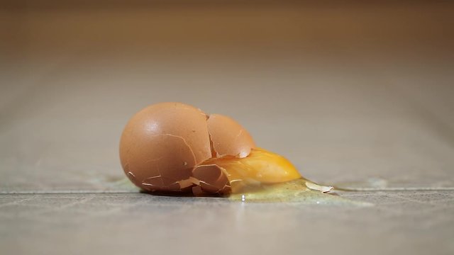 Egg hitting the ground