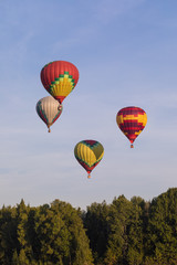 Colorful hot-air balloons flying over the forest
