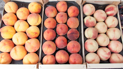 Peaches and apricots for sale