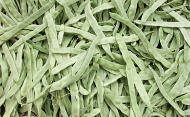 Fresh green beams backround for sale