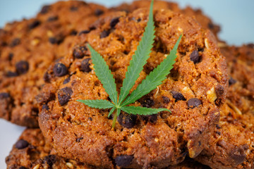 Delicious homemade Cookies with CBD cannabis and leaf garnish and buds of marijuana. A can of...