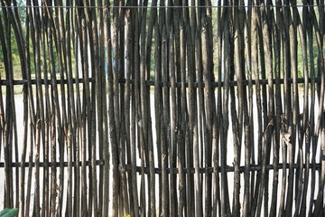Fototapeta premium Bamboo sticks in the shape of a fence