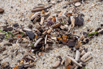 Amber on a beach of the Baltic Sea in the surf. Soft focus
