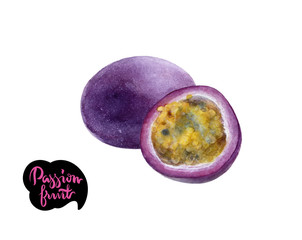 passion fruit watercolor illustration