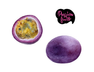 passion fruit watercolor illustration