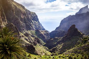 Mountain Landscape of the Masca Gorge. Beautiful views of the coast with small villages in Tenerife, Canary Islands