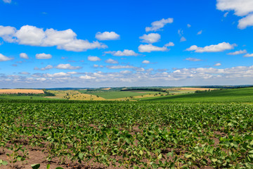 Summer landscape with green fields, hills and blue sky