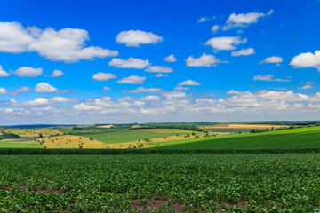 Fototapeta na wymiar Summer landscape with green fields, hills and blue sky