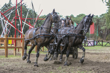 Hindernis nemen met 4-span