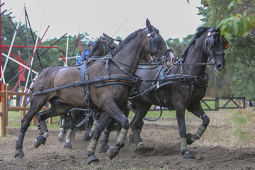 4-span neemt bocht in hindernis