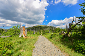 am fuße des lusen in niederbayern