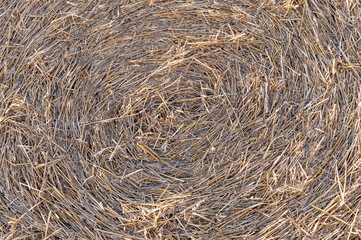 texture of hay rolled into a roll