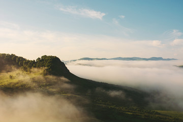 Mountain peak with forest above thick fog. Mist in highlands in sunlight. Atmospheric landscape of beautiful majestic nature.