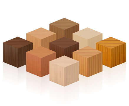 Wooden cubes - wood samples with different textures, colors, glazes, from various trees to choose - brown, dark, gray, light, red, yellow, orange decor models - vector on white background.