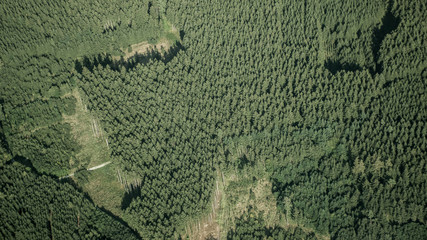 Wald aus dem Flugzeug