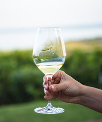 Glass of vine with lake Balaton in the background