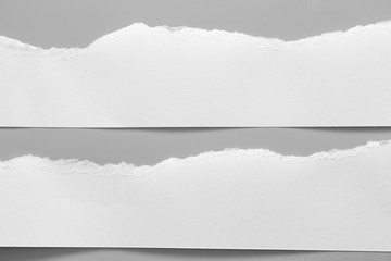 white torn paper on gray background. collection paper rip
