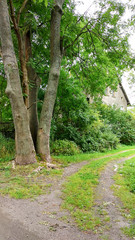 A house in the country surrounded by trees
