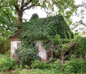 A house in the country surrounded by trees