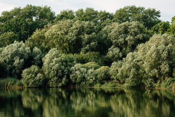 Beautiful summer landscape, lake, forest and blue sky