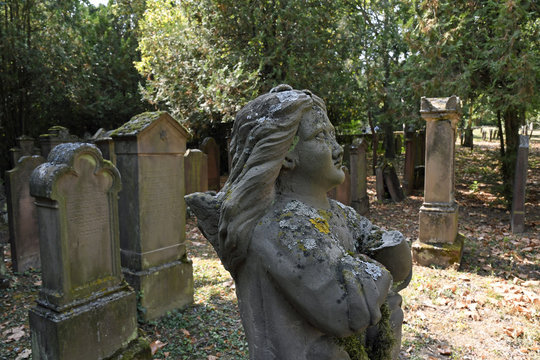 jüdischer friedhof in flörsheim-dalsheim