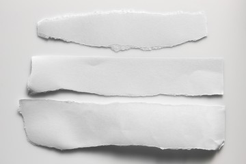 white torn paper on gray background. collection paper rip