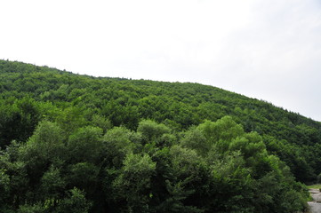 Pension Lara Romania