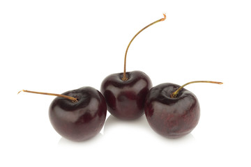 cherry. cherries black isolated on white background