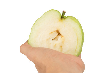 guava fruit hold hand isolated on white background