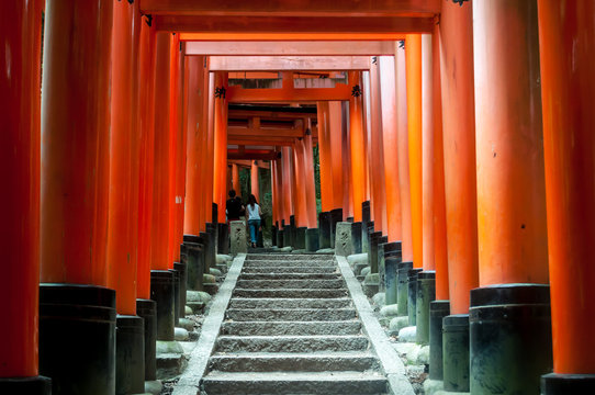 Fushimi Inari-Taisha principal santuario sintoísta (jinja) dedicado al espíritu de Inari, situado en Fushimi-ku, uno de los distritos de Kioto (Japón). 